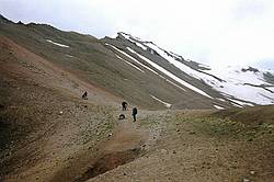 Общий вид пяти снежников на спуске с перевала Тон